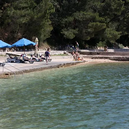 Appartamento With Wifi Palit, Rab - 15365 *
