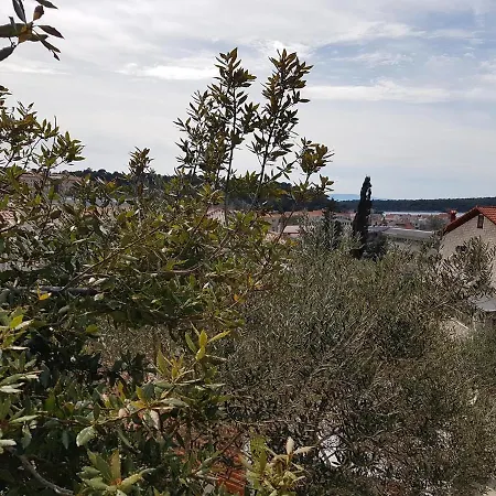 With Wifi Palit, Rab - 15365 *